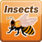 Insects
