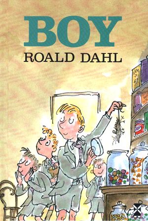 book cover of Boy