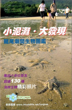 《小泥灘‧大發現：龍尾潮間生物圖鑑》封面