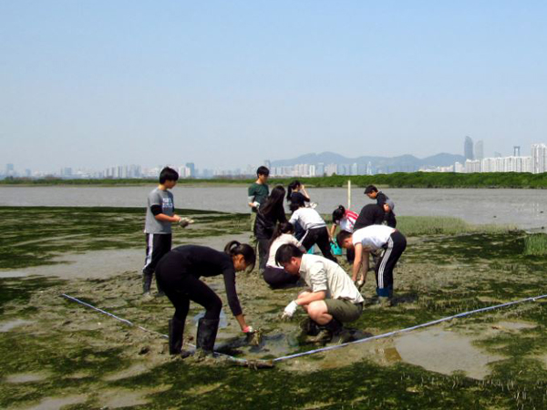 一群公民科學家正在米埔泥灘考察