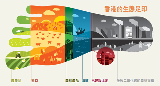 香港的生態足印包括以下項目：農產品、牲口、森林產品、海鮮、已建設土地，以及吸收二氧化碳的森林面積。