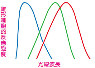小校報 色盲是甚麼 小校報 色盲是甚麼