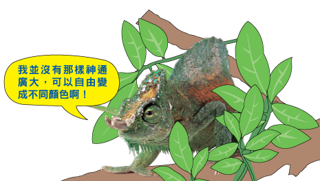 小校報 冷酷變臉高手 變色龍