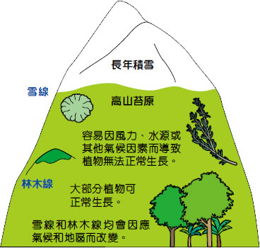 小校報 不同地區的植物