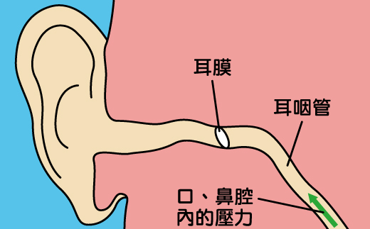 打噴嚏時若捂住口鼻，口、鼻腔內的壓力有可能對中耳造成損害。