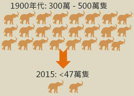 2015年，非洲象數目急劇下跌至不足47萬隻。 © WWF-Hong Kong