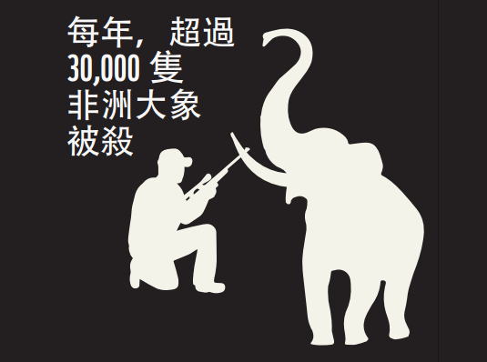 每年有超過3萬隻非洲大象被獵殺。 © WWF-Hong Kong