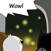 'Wow!' Alice and Robin are amazed by the beautiful sight of fireflies.