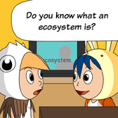 Rabbit: 'Do you know what an ecosystem is?'