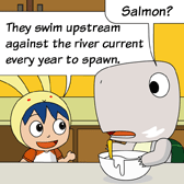 'Salmon?' Monster was confused. 'They swim upstream against the river current every year to spawn.' Rabbit explained.