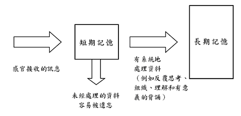 我們的記憶系統