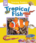 Tropical Fish