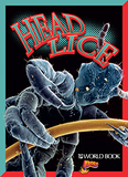 Head Lice