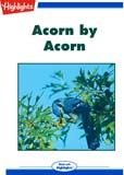 Acorn by Acorn