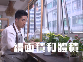 續面積和體積 (二)