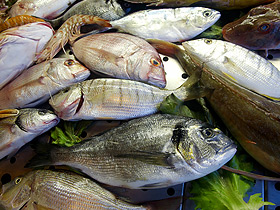 香港魚網 