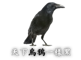天下烏鴉一樣黑